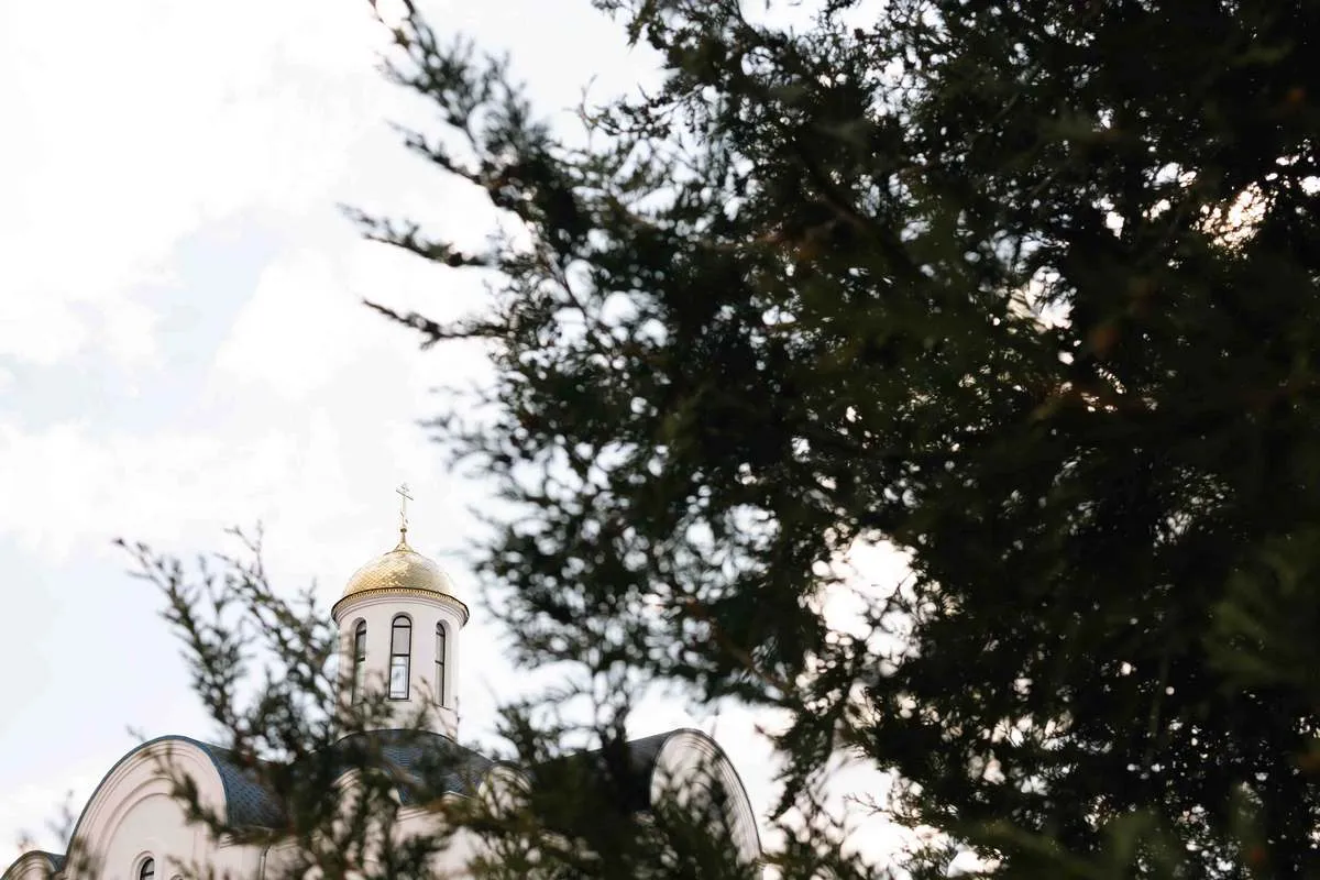 ¦Р¦-TВ¦-¦¬TА¦-¦-¦¦¦¦-113